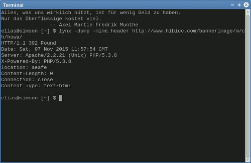 Screenshot meines Terminalfensters mit der Ausgabe von lynx -dump -mime_header.