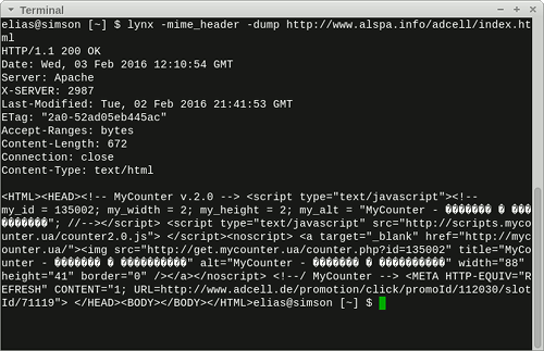 Screenshot meines Terminals mit der Ausgabe von lynx -mime_header -dump