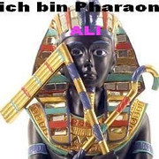 Twitter-Avatar des Spammers mit Text 'Ich bin Pharaon Ali'.