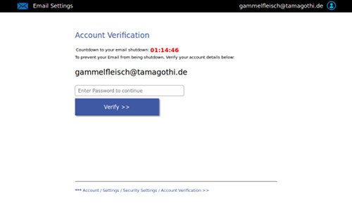 Screenshot der Phishing-Seite