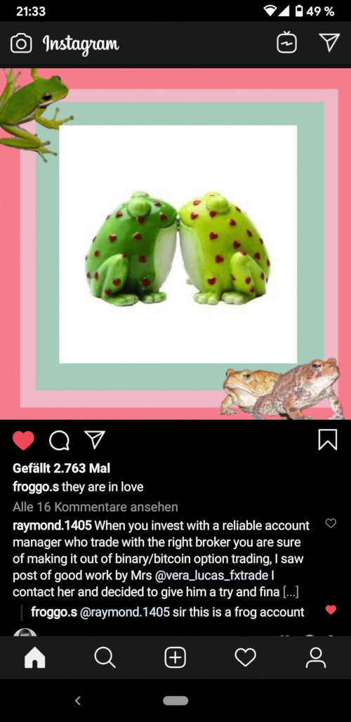 Investment-Spam in einem Instagram-Account für Froschbilder