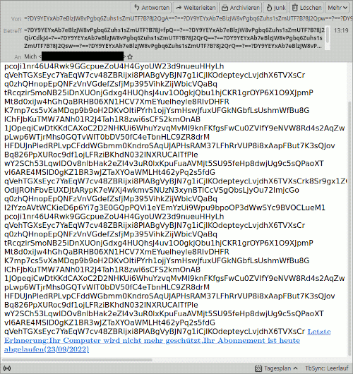 Screenshot einer völlig kaputten E-Mail-Spam in Mozilla Thunderbird, bei der es dem Spammer offenbar nirgends gelungen ist, das Encoding korrekt anzugeben.