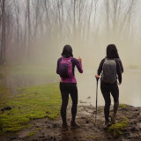 Mit Stable Diffusion generiertes Bild zweier Frauen, die an einem trüben, nebligen Tag durch einen sumpfigen Wald wandern.