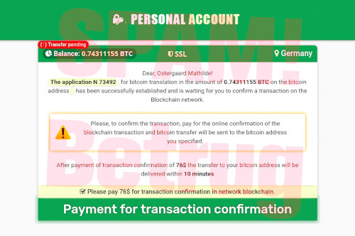 Screenshot: Bezahlen der Bitcoin-Transaktion
