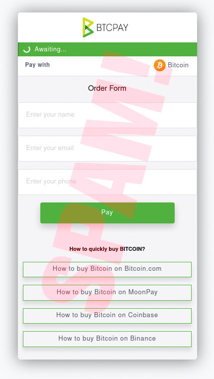 Screenshot BTCPAY mit der Möglichkeit, die angebliche Transaktion in Bitcoin zu bezahlen