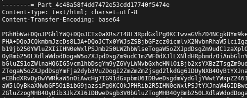 Screenshot eines Base64-codierten Teils einer E-Mail in einem Editor -- Unter dem Header scheinbar uninterpretierbarer Zeichensalat