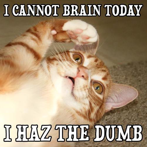 LOLcat from the earlier days of the web: I cannot brain today. I haz the dumb.