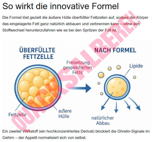 Detail aus der mit Spam beworbenen Website: So wirkt die innovative Formel -- Die Formel löst gezielt die äußere Hülle überfüllter Fettzellen auf, sodass der Körper das eingelagerte Fett ganz natürlich abbauen und verbrennen kann – ohne den Stoffwechsel herunterzufahren wie es bei den Spritzen der Fall ist. -- Abbildung -- Ein zweiter Wirkstoff (ein hochkonzentriertes Derivat) blockiert die Ghrelin-Signale im Gehirn – der Appetit normalisiert sich von selbst.